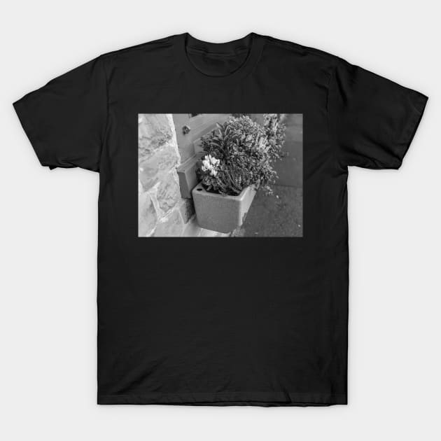 The window box T-Shirt by yackers1